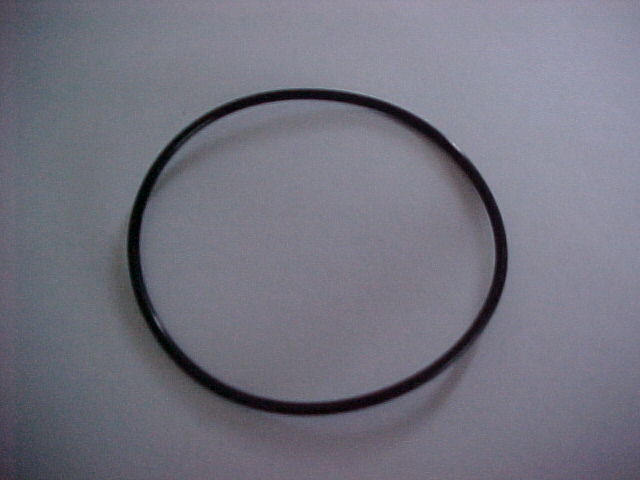 Nosepiece o-ring