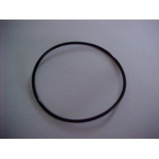 Nosepiece o-ring